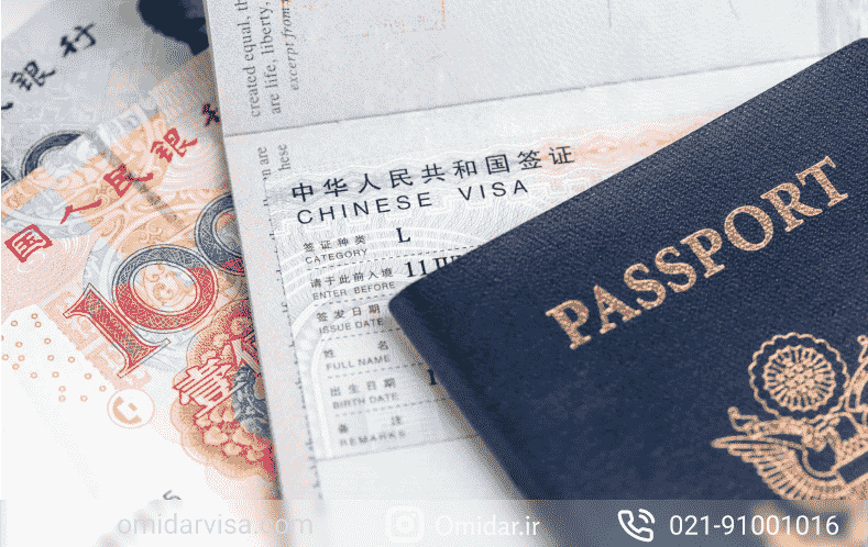 پاسپورت چینی